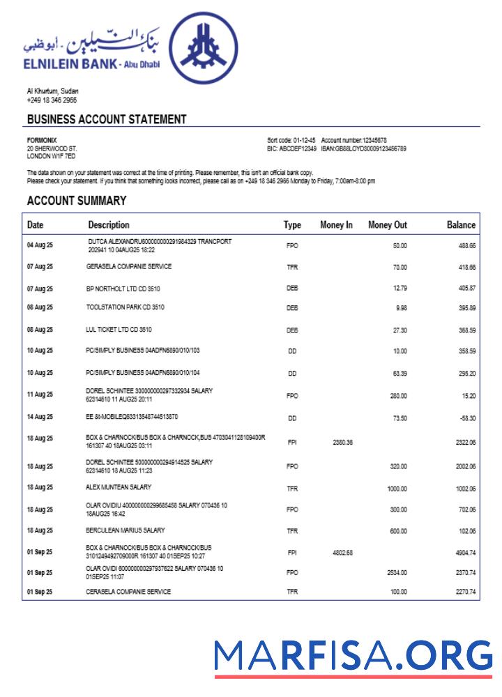 Blank Sudanese Al Neelen company checking account statement Word and PDF template